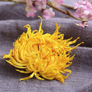 10pcs Chrysanthemum Flowerrbal  Big Blooming Bagged Dry Skin Health Tool