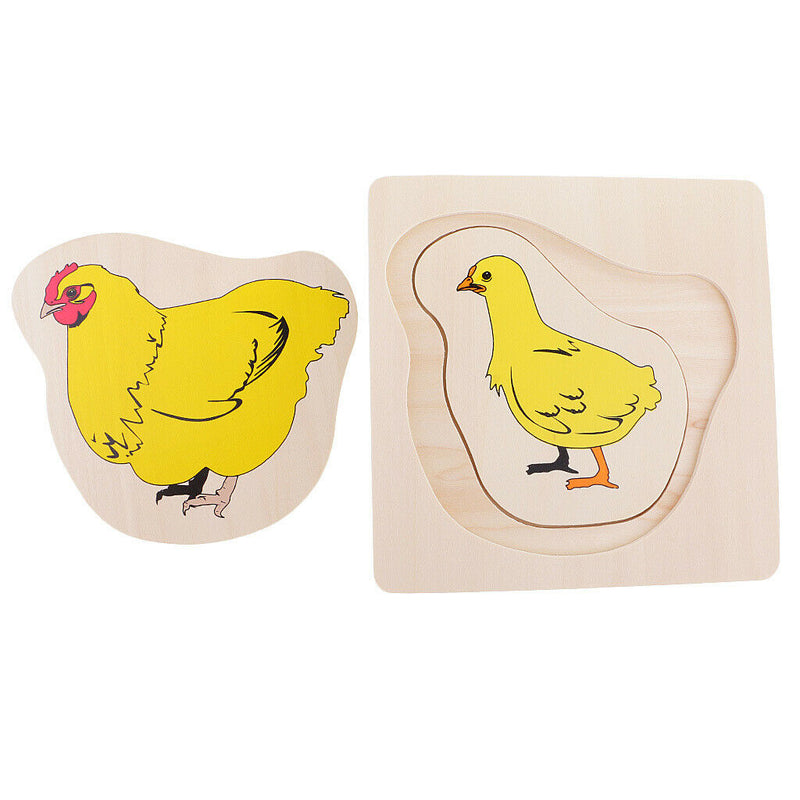 Montessori Materials The Evolution Process Of Hens For Kids Early Education
