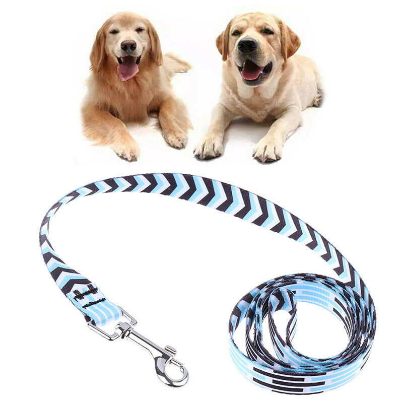 0.79" x 39.37" Dog Leash Rope Nylon Printed Pet Dogs Walking Lead LeashesAT3C
