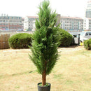 10X Artificial Leaves Garden Room Decor Pine Cypress Office Home K6H8
