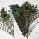 10x Natural Peacock Tail Eye Hair Feather Fly fishing Tying Flies Gift Stre H3G3