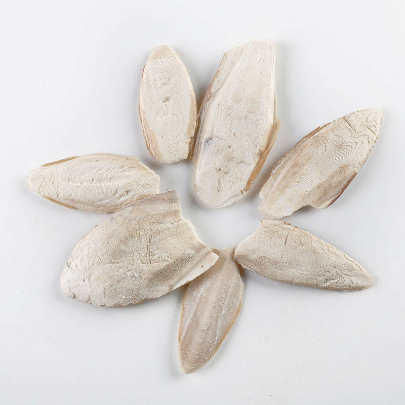 7Pcs Birds Cuttlefish Cuttle Fish Bone Parrotts Reptiles Rabbits Tortoise Foods