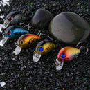 5 Pcs 3 cm Topwater Wobbler Japan Mini Fly Crankbait Fishing Cranks Bait