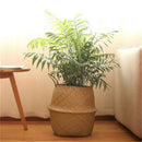 Basket Rattan Folding Wicker Handle Round Natural Sea Grass Plant Storage lj