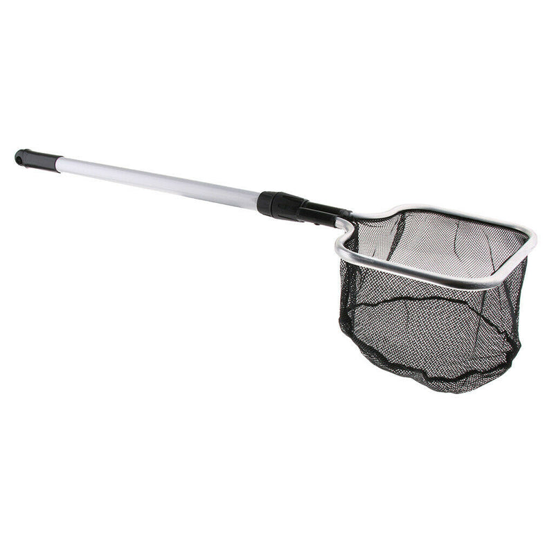 Square Shape Extensible Handle Aquarium Goldfish Fishing Landing Net