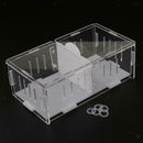 Reptile  Box Amphibian Feeding Container for Spider  Chameleon