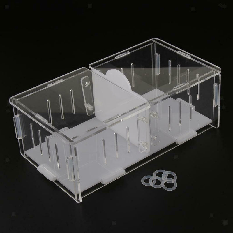 Reptile  Box Amphibian Feeding Container for Spider  Chameleon