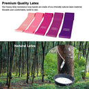 Natural Latex Fitness Resistance Loops Strength Training Elastic Band Strap