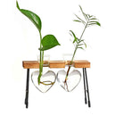 Glass Vase Test Tube In Wood Chair For Flowers Plants Home Decor-2
