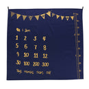 Infant Photography Blanket Props Baby Cartoon Monthly Milestone Background Mat