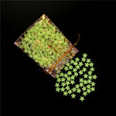 200X Stars Glow in the Dark Luminous Fluorescent Plastic Cute Wall Decor Gw
