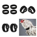 Set Of 8 Anti-crows Cock Collars With No