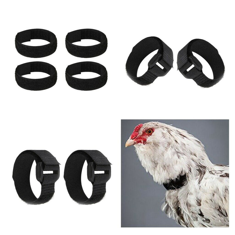 Set Of 8 Anti-crows Cock Collars With No