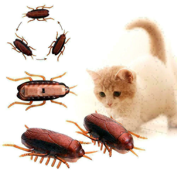 Dog Cat Interactive Electronic Cockroach Intelligence Training Pet Activity A5V7