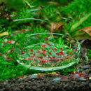 Aquarium Fish Tank Clear Acrylic Shrimp Feeding Food Dish Feeder Tray Container