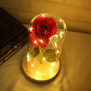 Rose 20 LED String Light Glass Dome Night Lamp Party Home Decor (Beige Base