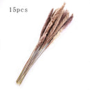 15pcs Natural Dried Pampas Grass Reed Flower Bunch Wedding Bouquet Decors 2020
