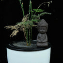 Buddha Statue Monk Tea Pet for Tea Room Exquisite Handmade Ornament