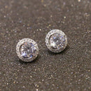 Women\'s Elegant Crystal Zircon Inlaid Ear Studs Platinum Plated Earrings Deluxe