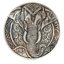 Elephant Nose Coins 1913 Commemorative Coins