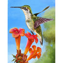 5D DIY Full Drill Diamond Painting Happy Bird Cross Stitch Craft (B1057)