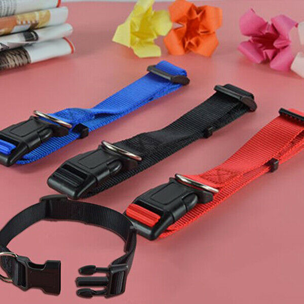 Adjustable Nylon Dog Puppy Collar with Buckle and Clip for Lead (M, Blue)