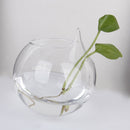 5Pc 4inch Hanging Glass Ball Vase Flower Plant Pot Terrarium Container Decor