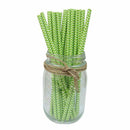 25x Paper Straws Birthday Wedding Baby Shower Party Stripes, Lime green