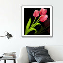 5D Full Round Drill Diamond Painting DIY Pink Tulip Wall Rhinestone Picture
