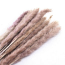 15pcs Natural Dried Pampas Grass Reed Flower Bunch Wedding Bouquet Decors 2020
