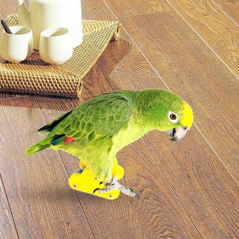 Parrot Underfoot Education Toys Mini Skateboard Training Bird Ice Skates Ro Q9E9
