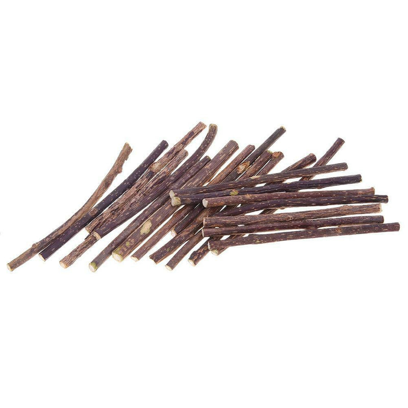 15pcs Natural Fruit Matatabi Cat Snacks Sticks Catnip Pet Cat Molar Rod
