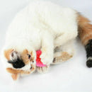 10x Colorful Balls Cat Toys Sm & Bulk Soft Plastic Ball Roll Quiet_Play D2R5