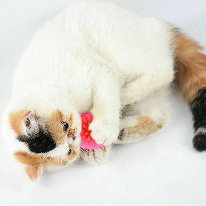 10x Colorful Balls Cat Toys Sm & Bulk Soft Plastic Ball Roll Quiet_Play D2R5