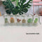 2Pcs Cute Mini Cactus Plant Keychain Keyring Charm Smartphone Pendant Chain