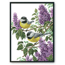 DIY Needlework Print Cross Stitch Kit 14CT Stamped Canvas (DA387 Two Birds)