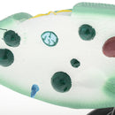 Paramecium Biological For Science Study Display Teaching  Education