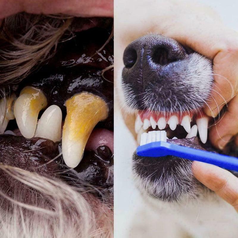 2Pcs Safe Plastic Pet Cat Dog Clean Teeth Dual Oral Supplies Cleaning Pet C9R7