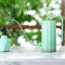 Plastic Garden Succulent Watering Pot Stainless Steel Long Mouth Flowers Pl