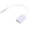 3.5mm Male Audio AUX Jack to USB 2.0 Type A Female Converter Cable JR
