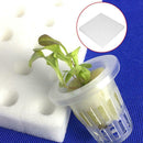100x Hydroponic Sponge Planting Gardening Tool Seedling Sponges for Greenho Top