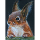 5D DIY Full Drill Diamond Painting Squirrel Cross Stitch Mosaic Kit (W1447)