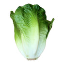 2pc Imitation Vegetables Cabbage& Lettuce Store Cabinet Display Food-