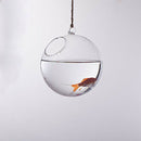 Globe Hanging Glass Vase 10 cm + Iron support 23 cm Height Decoration for G