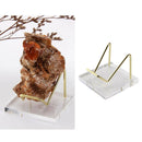 Acrylic Display Easel Holder for Mineral Fossil Rocks Quartz Platter Medals