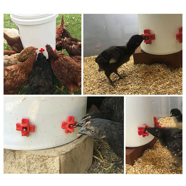 12pcs Chicken Drinker Feeder Automatic Chick Quail Drinking Water Nipple