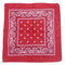5pcs Unisex Cotton Double Sided Paisley Cowboy Bandana Head Wrap Headband