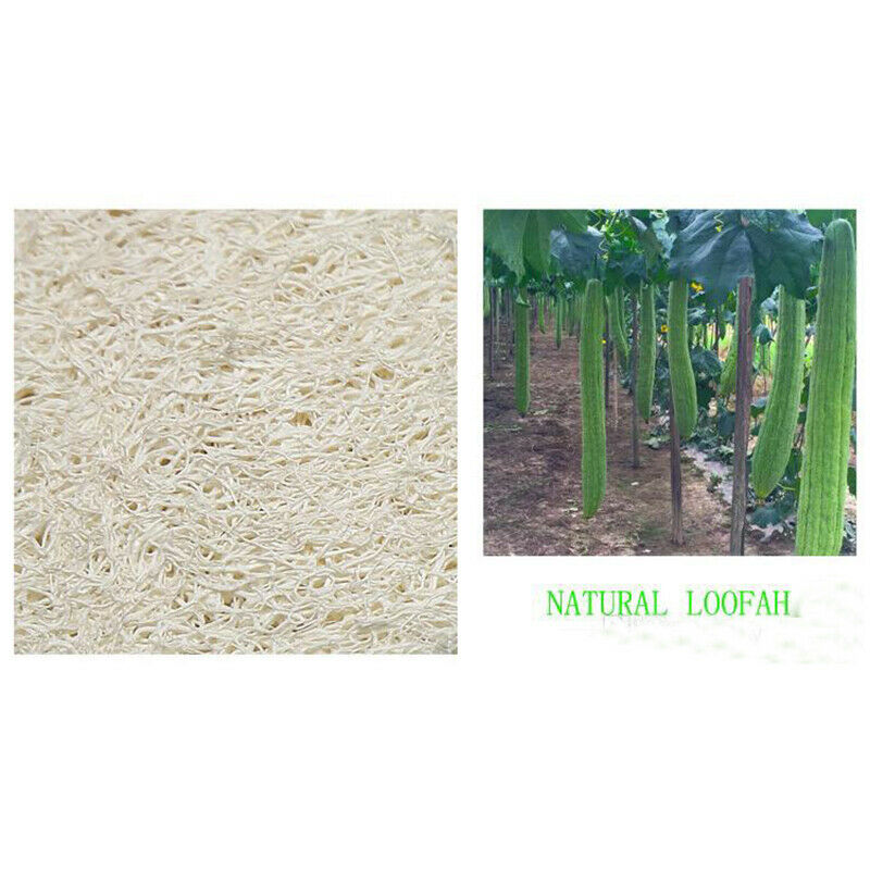 20Pcs/Package Natural Loofah Sponge Bath Shower Body Exfoliator Pads With H M7H7