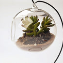 Black Heart Shape Metal Ornament Stand+Hanging Flower Plant Vase Home Decor