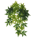 3 Pcs Plastic Plant Aquarium Ornament Fish Tank Desert Reptile Decoration